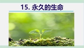 《散文二篇 永久的生命》（19张）八年级语文上学期随堂精美课件（部编版）