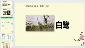 《白鹭》（课件）五年级上册语文统编版（22页）