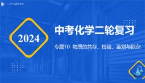 专题10 物质的共存、检验、鉴别与除杂（课件）（16张）中考化学二轮复习（全国通用）