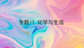 专题11 化学与生活（课件）（30张）中考化学新课标复习