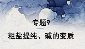 专题9粗盐提纯、碱的变质（课件）（31张）中考化学新课标复习