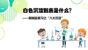 中考化学课件（10张）酸碱盐复习之“八大沉淀”