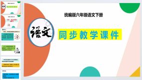 习作：插上科学的翅膀飞-2023-2024学年六年级语文下册同步优质课件（统编版）37页