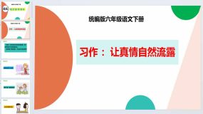 习作：让真情自然流露 -2023-2024学年六年级语文下册同步优质课件（统编版）（44页）