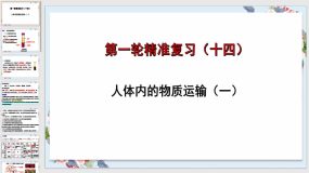 人体内的物质运输（一)23页【课件】备战2024年中考生物一轮复习全考点通关