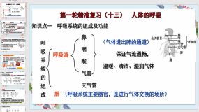 人体的呼吸【课件】（30页）备战2024年中考生物一轮复习全考点通关