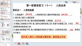 人的由来【课件】（21页）备战2024年中考生物一轮复习全考点通关