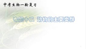 动物的主要类群（36张）备战2024年中考生物一轮复习考点帮（全国通用）