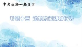 动物的运动和行为（14张）备战2024年中考生物一轮复习考点帮（全国通用）