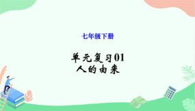 单元复习01 人的由来（15张）2023-2024学年七年级生物下册单元复习课件（人教版）