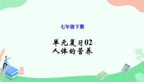 单元复习02 人体的营养（17张）2023-2024学年七年级生物下册单元复习课件（人教版）