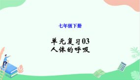 单元复习03 人体的呼吸（12张）2023-2024学年七年级生物下册单元复习课件（人教版）