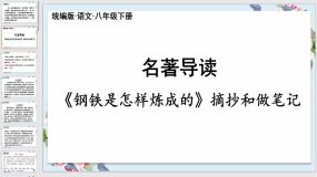 名著导读《钢铁是怎样炼成的》摘抄和做笔记（43页）2023-2024学年八年级语文下册（统编版）