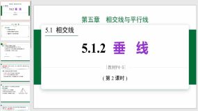 垂线（2）课件（14页）2023-2024学年人教版七年级数学下册