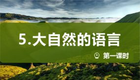 大自然的语言 第1课时（17张）2023-2024学年八年级语文下册同步教学课件（部编版）