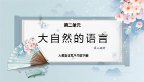 大自然的语言（第二课时）（21张）（课件）2023-2024学年八年级语文下册同步精品