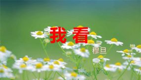 我看（29张）九年级语文上学期随堂课件