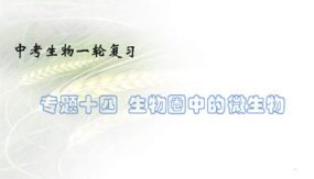 生物圈中的微生物（30张）备战2024年中考生物一轮复习考点帮（全国通用）