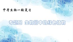 生物圈中的绿色植物（21张）备战2024年中考生物一轮复习考点帮（全国通用）