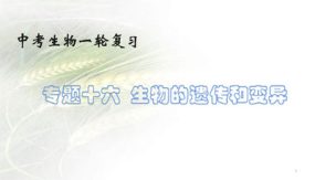 生物的遗传和变异（26张）备战2024年中考生物一轮复习考点帮（全国通用）