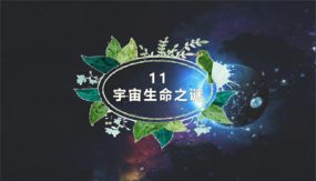 第11课 宇宙生命之谜（教学课件）（31张）六年级语文上册同步精品课堂（统编版五四制）（上海专用）