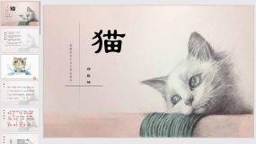 第16课 猫（25页）七年级语文上册原创配套课件