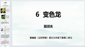 第6课《变色龙》同步课件-2023-2024学年九年级语文下册（统编版五四制）（上海专用）32页