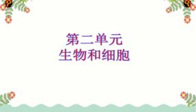 第一二三单元（27张）2024年中考生物单元复习课件（人教版）