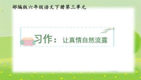 第三单元习作：让真情自然流露（课件）（30张）六年级语文下册同步备课（部编版）