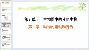 第二章 动物的运动和行为（复习课件）2023-2024学年八年级生物上学期（人教版）18页