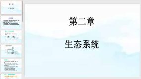 第二章 生态系统（章末复习课件）（22页）2023-2024学年八年级生物下册（济南版）