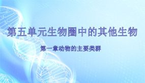 第五单元 生物圈中的其他生物（58张）2024年中考生物单元复习课件（人教版）