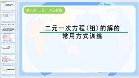 第八章 二元一次方程组-二元一次方程(组)的解的常用方式训练课件2023-2024学年人教版七年级数学下册（20页）