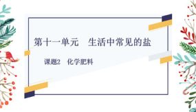 第十一单元 课题2 化学肥料（14张）九年级化学下册课件（人教版）