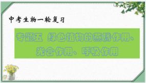 绿色植物的蒸腾作用、光合作用和呼吸作用（课件帮）（23张）备战2024年中考生物一轮复习考点帮（全国通用）