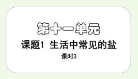 课题1课时3 生活中常见的盐（21张）九年级化学下册课件（人教版）