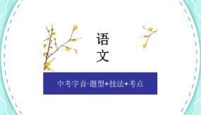 题型+技法+考点（29张）备战2024年中考语文一轮字音专项总复习