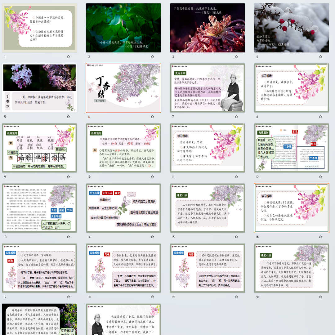《丁香结》PPT课件35套小学六年级语文上册第一单元第二课课件