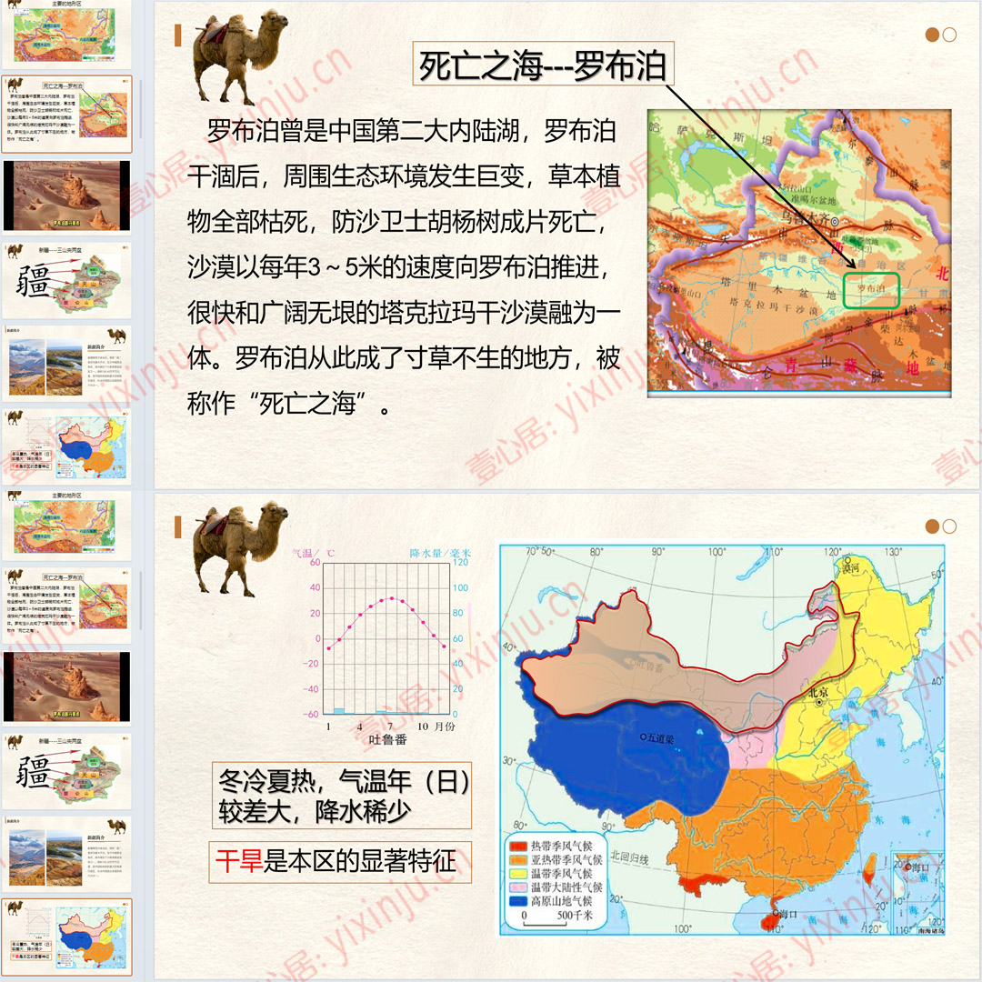 人教版西北地区的自然特征与农业PPT课件9套八下地理第八章第1节