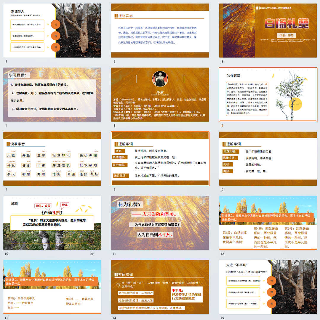 《白杨礼赞》PPT课件13套初中八年级上册语文第十五课教学课件ppt