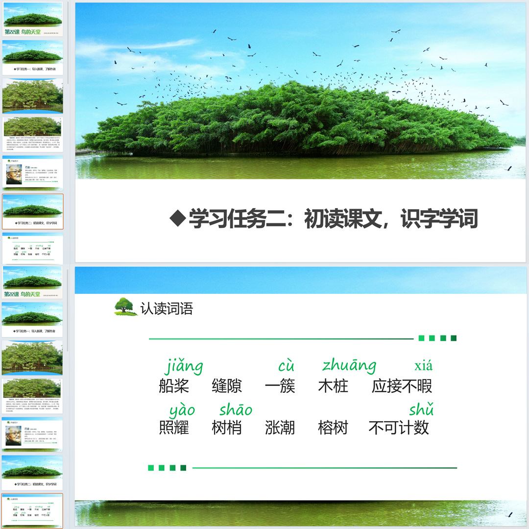 《鸟的天堂》PPT课件12套小学五年级上册语文第22课教学课件ppt