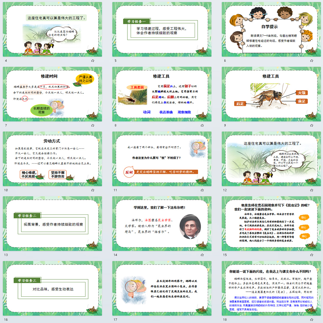 《蟋蟀的住宅》PPT课件12套四年级上册语文第十一课教学课件ppt