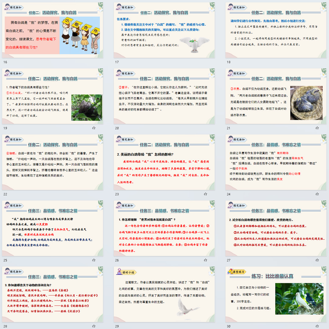 《我的白鸽》PPT课件7套初中七年级上册语文第十八课教学课件ppt