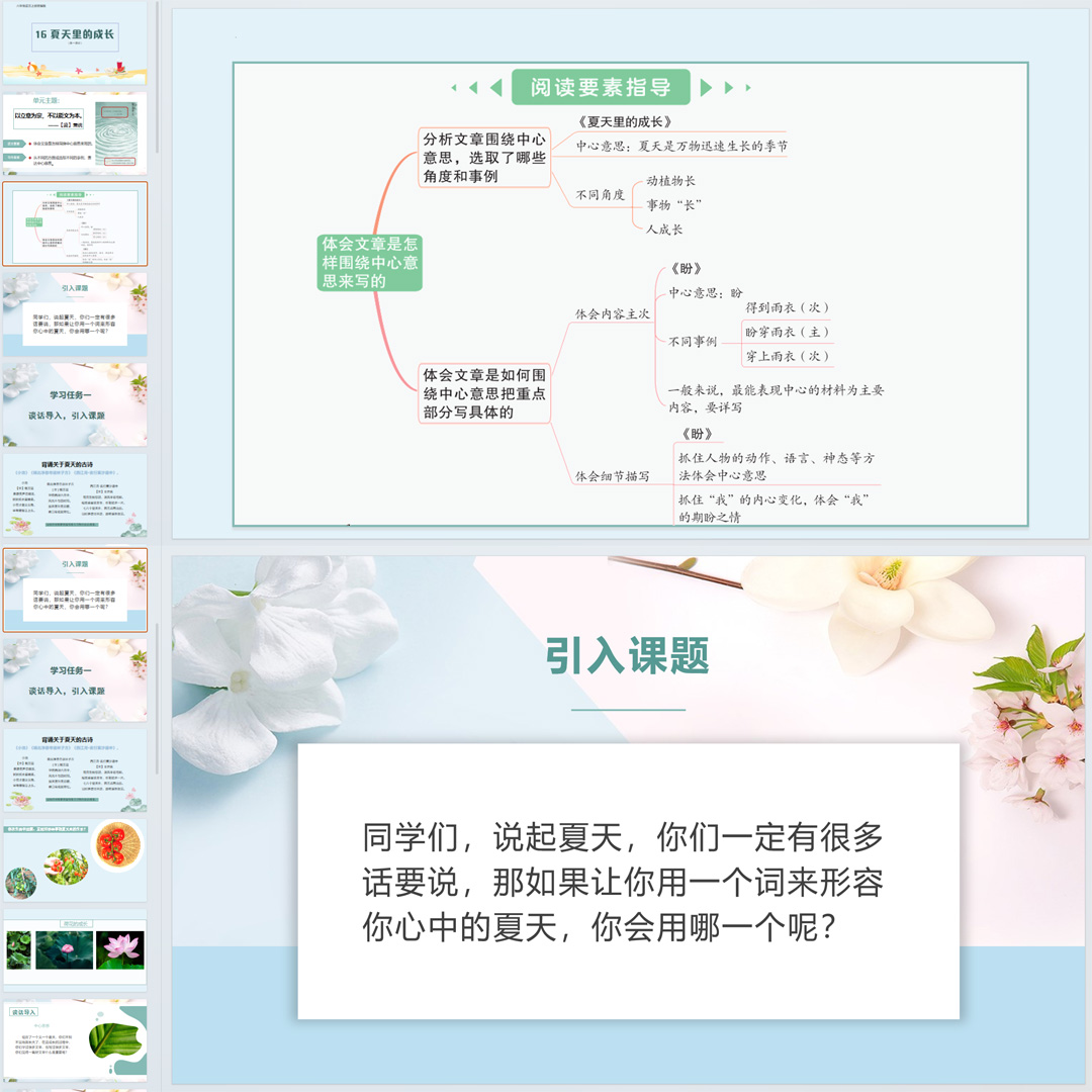 《夏天里的成长》PPT课件16套小学六年级上册语文第十六课