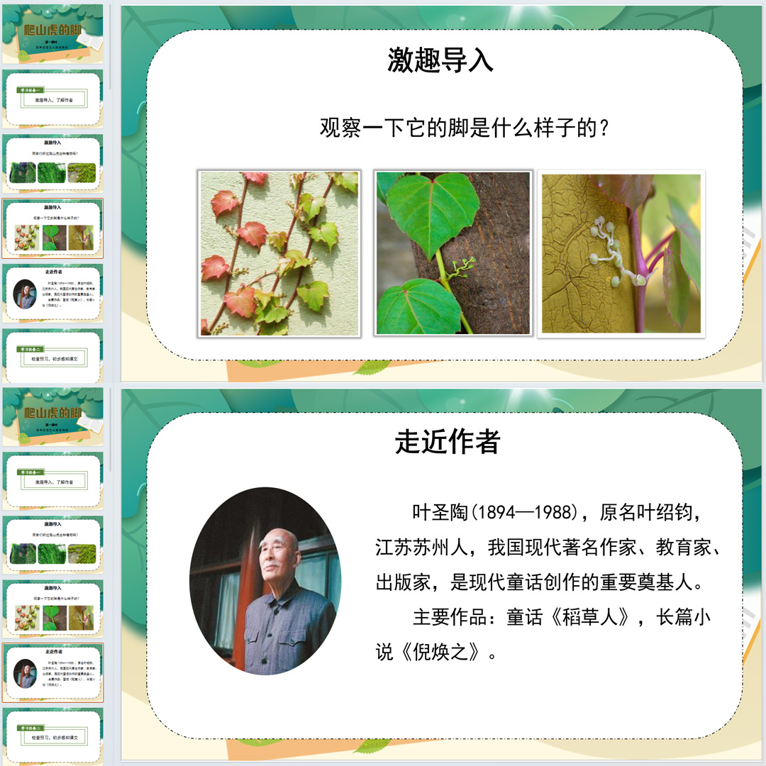 《爬山虎的脚》PPT课件31套四年级上册语文第十课教学课件ppt