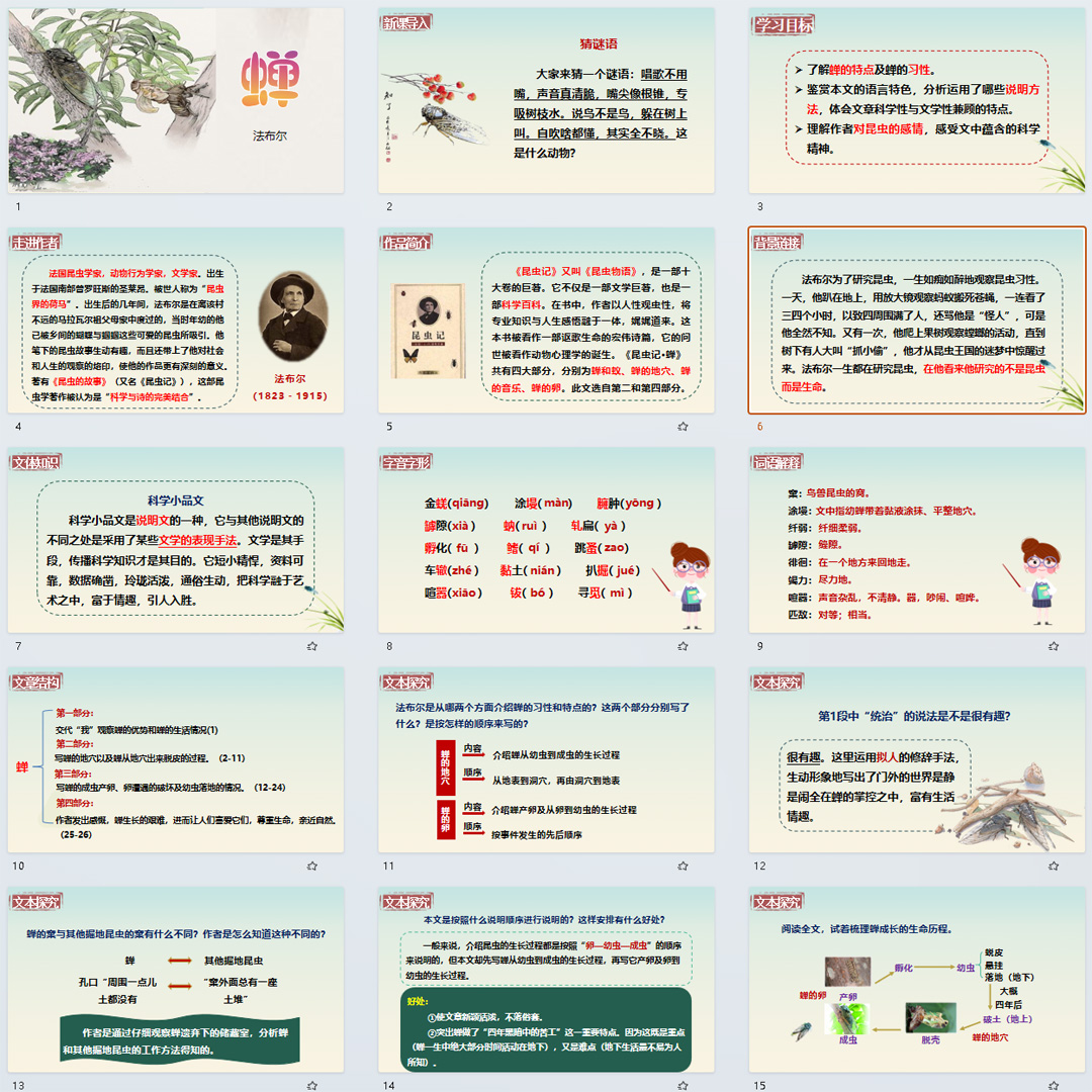 《蝉》PPT课件13套初中八年级上册语文第二十一课教学课件ppt