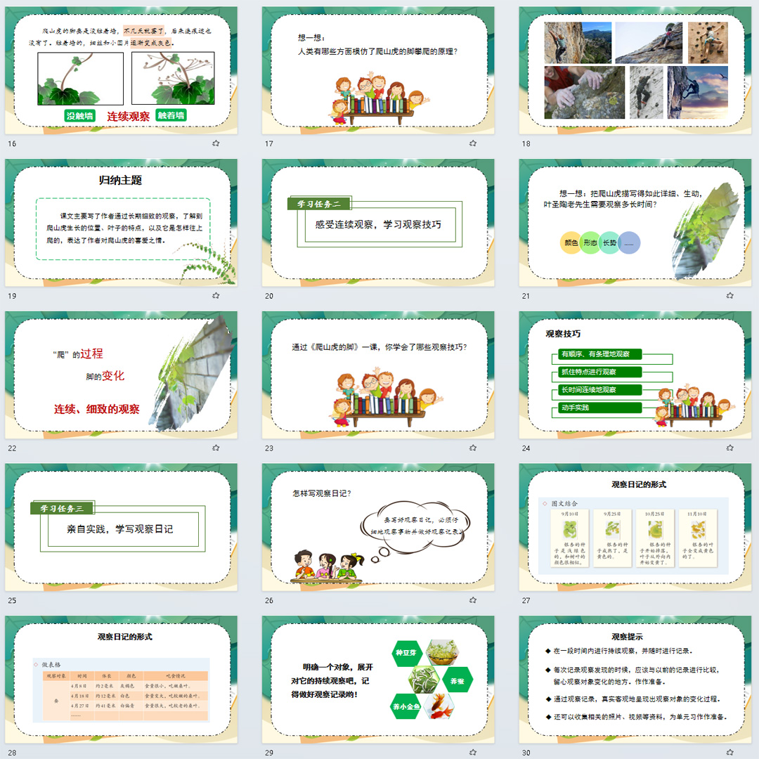 《爬山虎的脚》PPT课件31套四年级上册语文第十课教学课件ppt