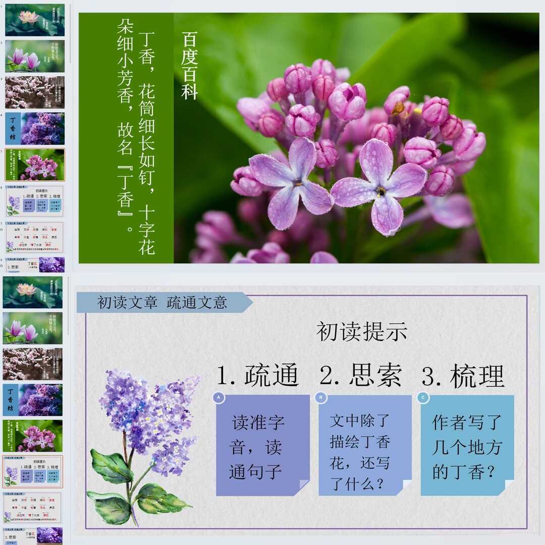 《丁香结》PPT课件精修单品六年级上册语文第二课同步教学课件ppt