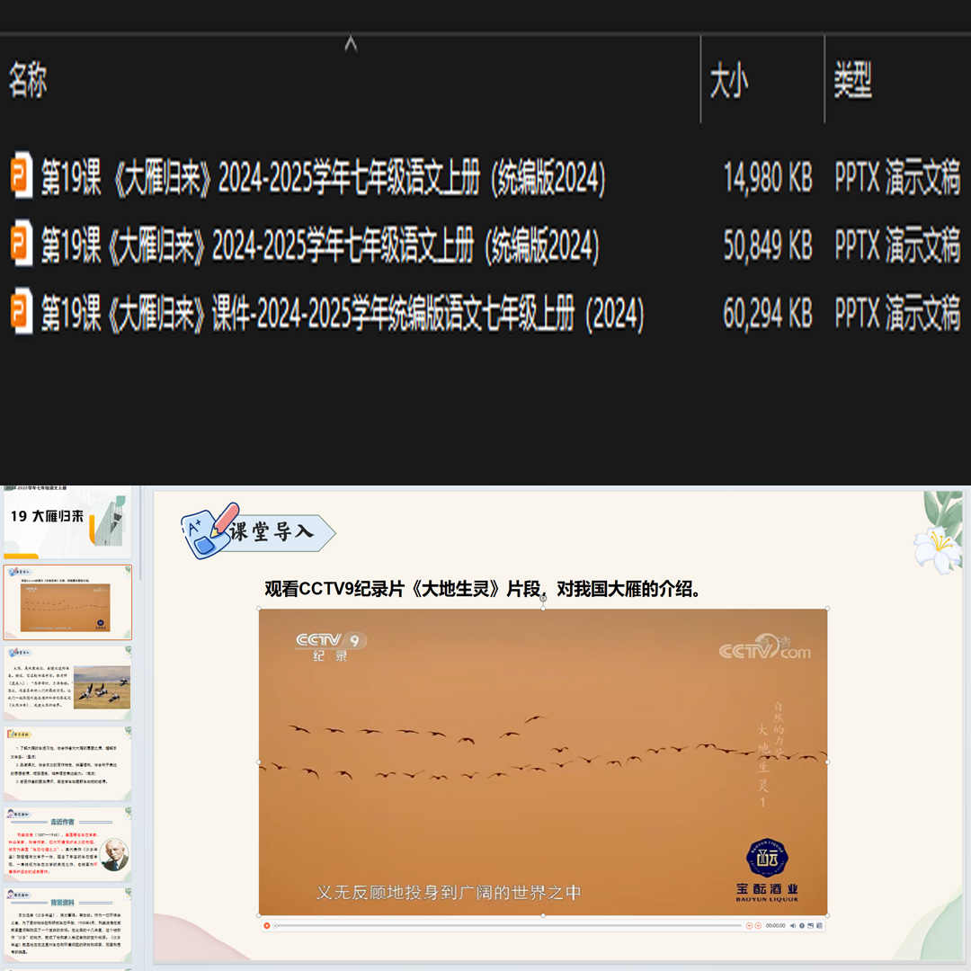 《大雁归来》PPT课件3套初中七年级上册语文第十九课教学课件ppt