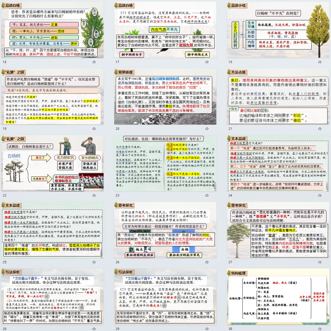 《白杨礼赞》PPT课件（含教案）初中八年级上册语文第15课教学